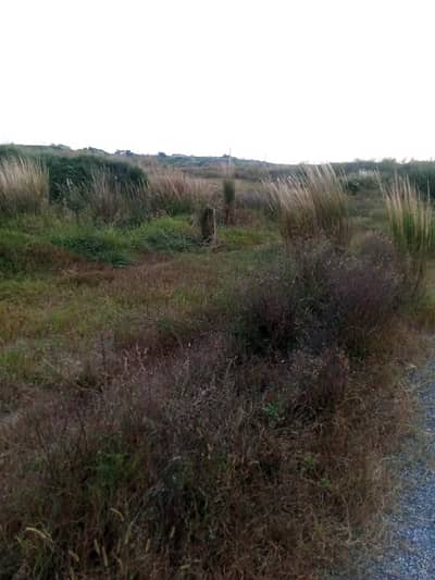 Park Facing Front Open 25x50 Plot in I-15/3 For Sale