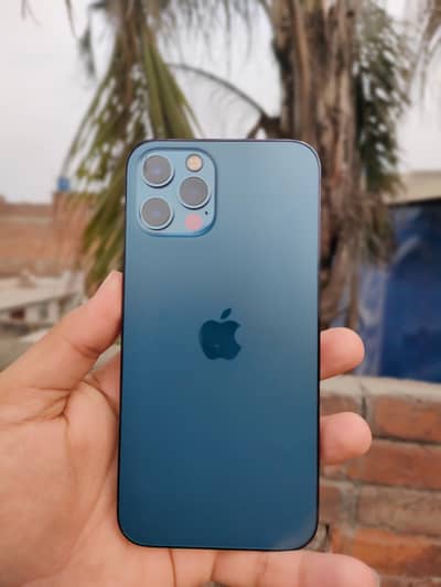 I PHONE 12 pro PTA APPROVED DUAL LLA