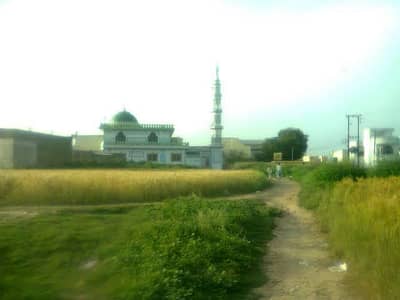 3 marlas plot papers for sale