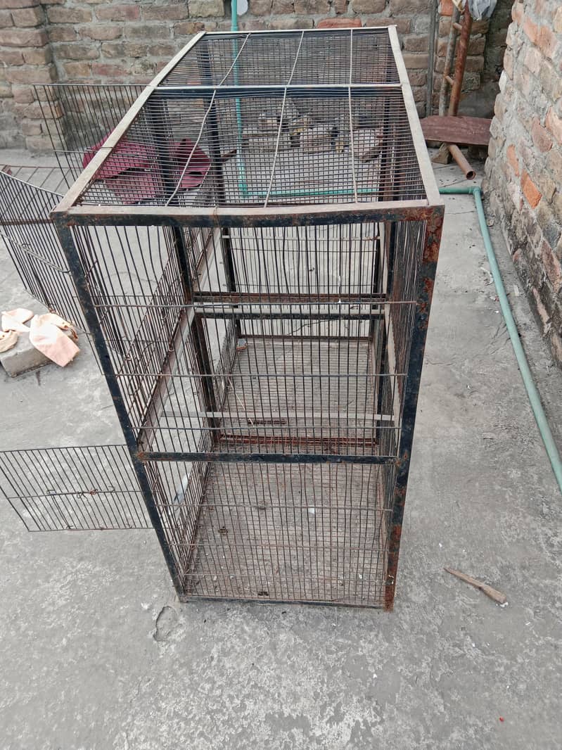 cage/ 1