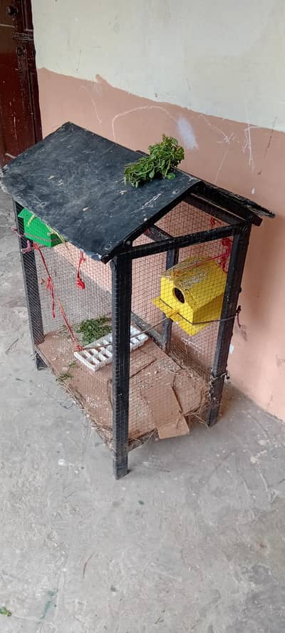 pinjre prindo k 2adad