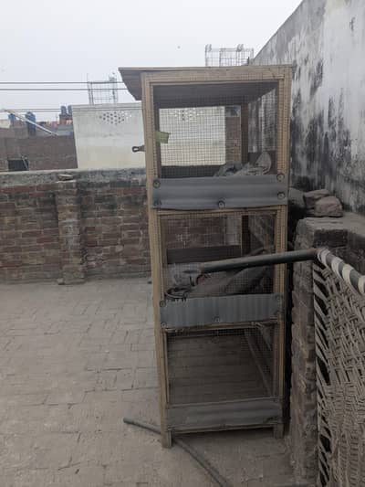 cage for sale triple portion