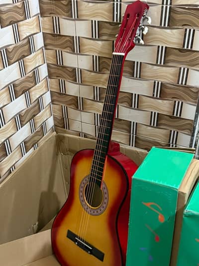 acoustic beginning guitar