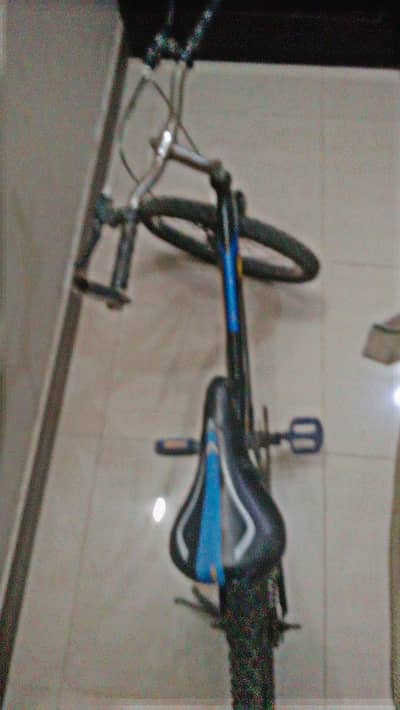 original Morgan cycle