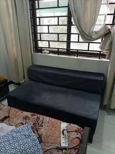 Diamond foam sofa cum bed