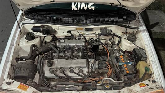 chat piller bonat genuine