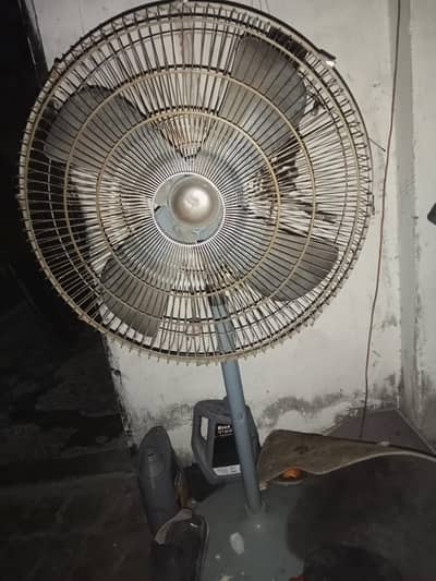 Fan for sale