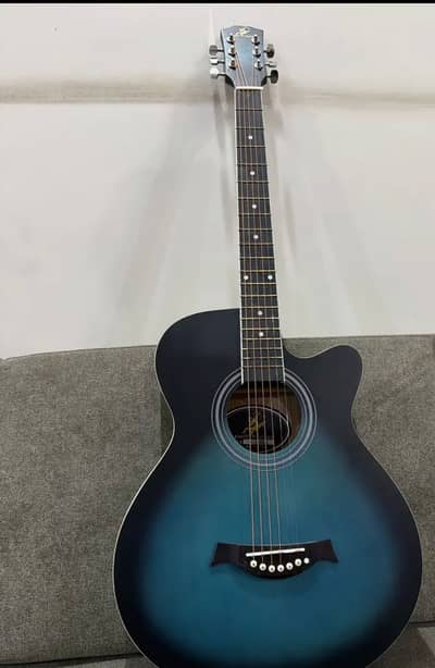 Musical Acoustic Guitar | Swift Hourse guitar