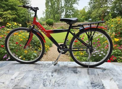 24 size gear mountain cycle