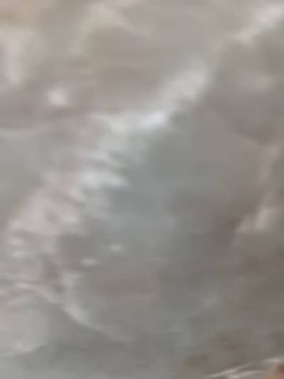 Tecno spark 40 pro plus Whatsapp 03377904847