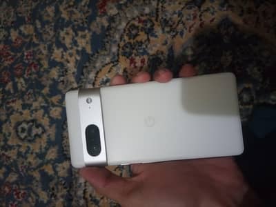 google pixel 7