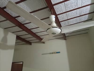 PAK FAN 56INCH PURE COOPER