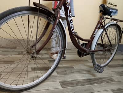 Barbie, like New Girls Cycle