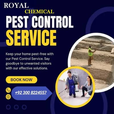 Pest control Termite Expert | Fumigation Services | Termite expert