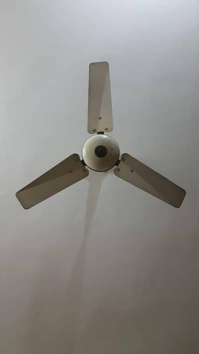Pakfans Ceiling Fan - Energy Efficient and Durable