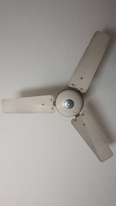 Pakfans Ceiling Fan - Energy Efficient and Durable