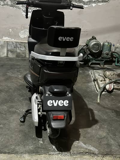 Evee Gen Z up for sale