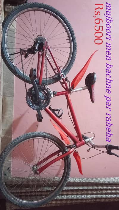 scondheand  cycle  for sale |offer for sale