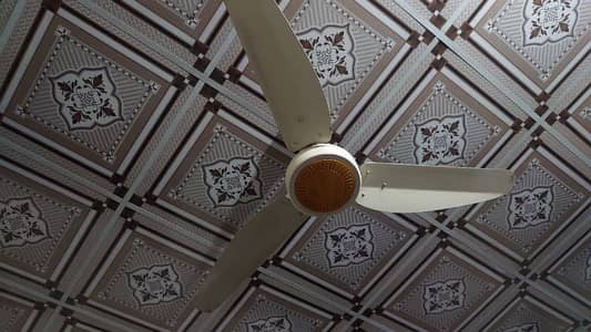celling fan