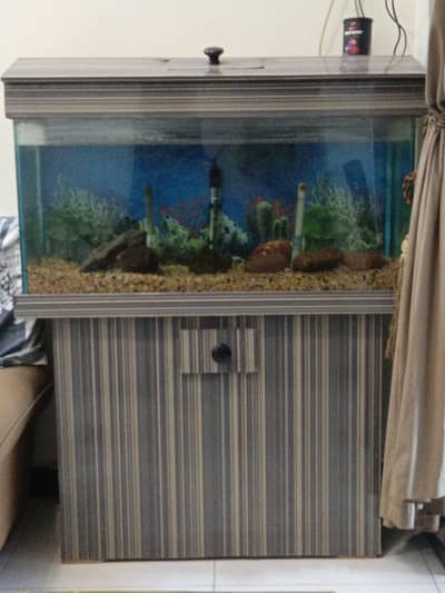 3 feet Fish Aquarium for Sale