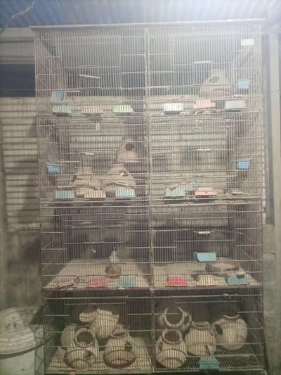 8 portion or 4 portion cage