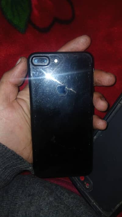 fringprint not working official pta