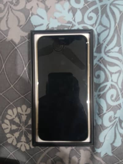 Iphone 12 pro max official pta approved