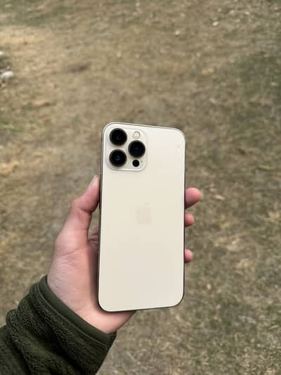 iPhone 13 Pro Max, 256gb.