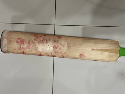 Hard ball cricket bat
