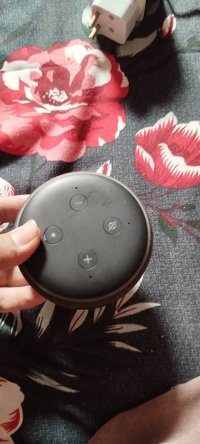 echo dot 3rd genration 100 ok . 03246814546