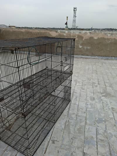 parrot cage