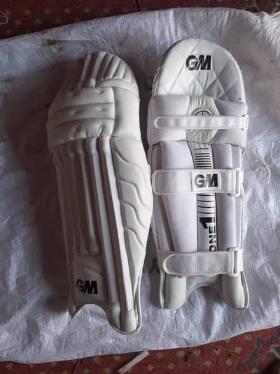 Cricket pads