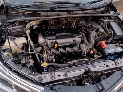 Toyota carolla Gli 2019 Automatic