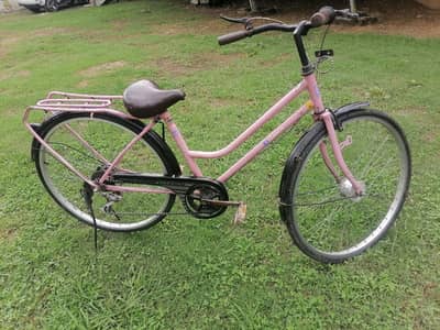 Japanese Eleinor cycle 26 number