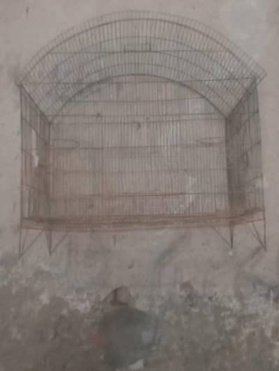 Birds cage for sale in used condition