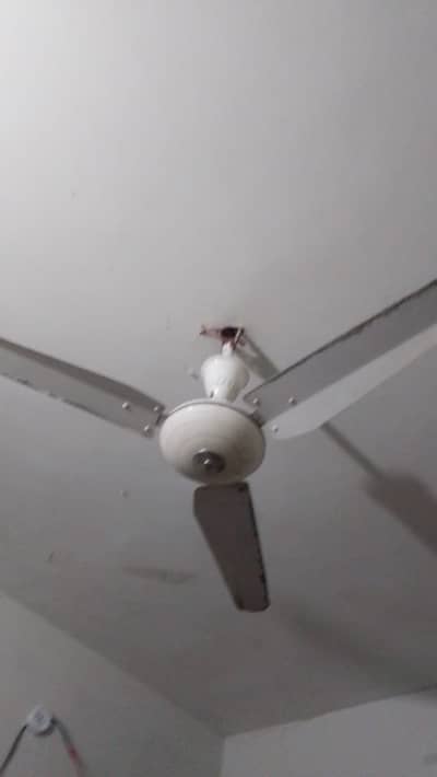 Ceiling fan