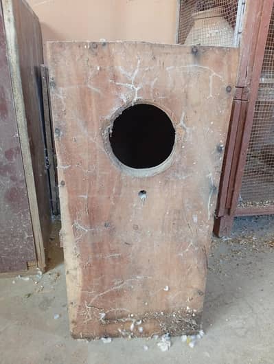 birds box to ringnack birds box