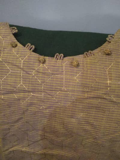 only shirts with tag