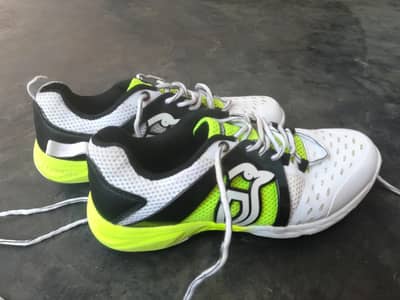Brand new Cricket spikes shoes