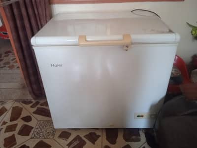 haier single deep freezer