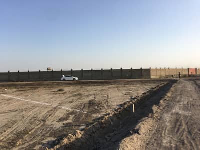 1000 Square Yards Plot For Rent