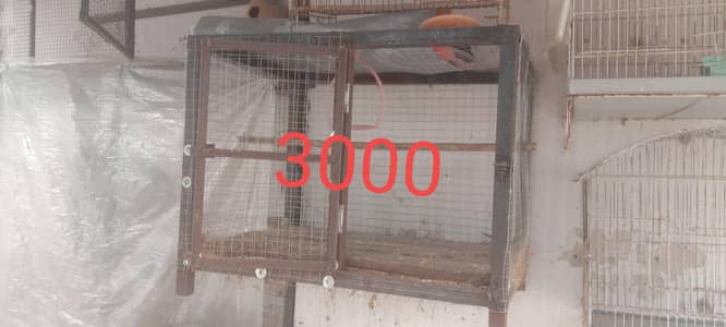 CAGE'S FOE BIRDS
