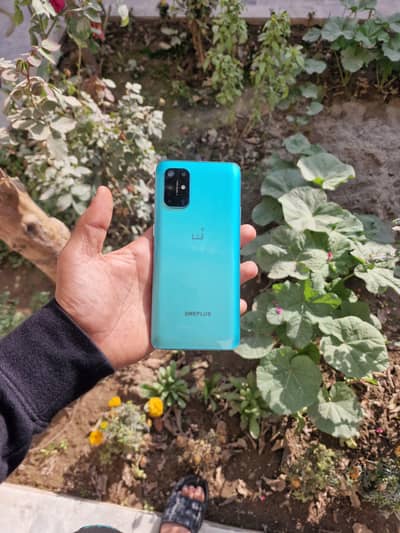 one plus 8t PTA approved