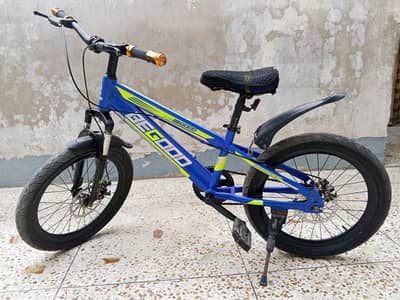 boys sports bicycle