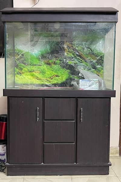 Fish Aquarium Full Set for Sale – Slightly Used, Clean