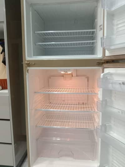 Fridge and Freezer Dawlance