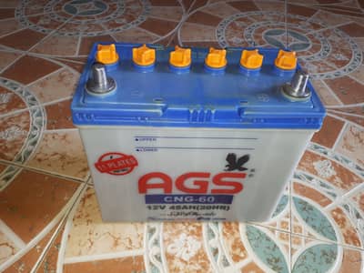 AGS 60 BATTERY