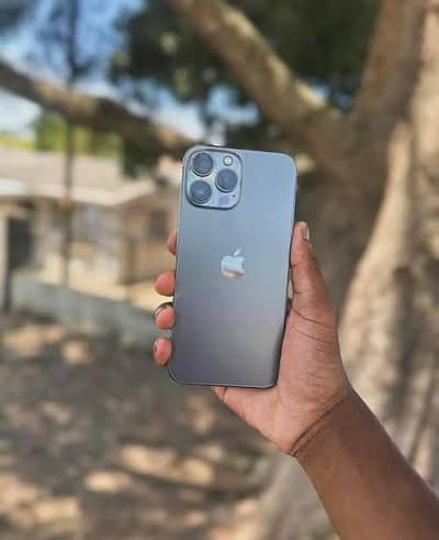 iPhone 13 Pro Max (JV)