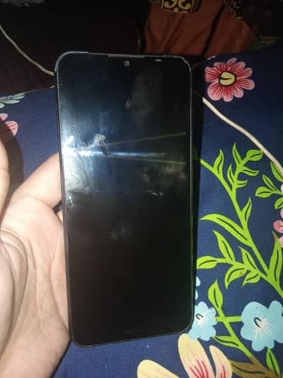 jisny lena ho rabta kary