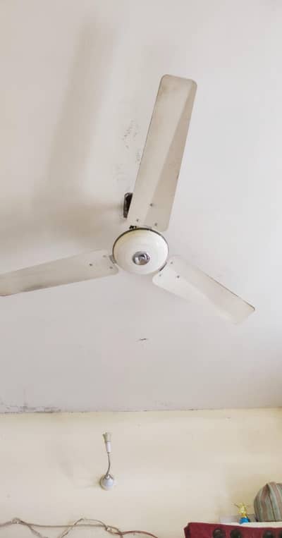 Original Copar Selling ,2 fens